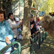Международный день пожилых людей в зоопарке «Лимпопо» 1 октября 2024 фотографии
