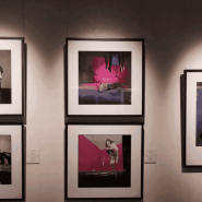 Выставка Джана Паоло Барбьери «Мода и вымысел» фотографии