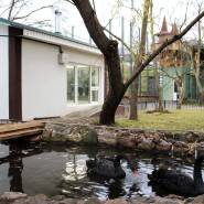 Новости и акции в зоопарке  «Лимпопо» 2025 фотографии