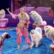 Премьера шоу «Песчаная сказка» в Нижегородском цирке фотографии