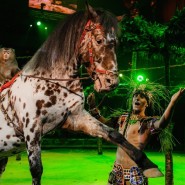 Шоу «Королевский цирк Гии Эрадзе» в Нижнем Новгороде фотографии