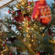 Фестиваль «Горьковская ёлка» 2026 фотографии