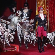 Цирковое шоу Гии Эрадзе «Бурлеск» в Нижнем Новгороде фотографии