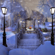 Зимние органные вечера, концерт «Сон в зимнюю ночь» фотографии