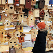 Конкурс на лучший скворечник и домик для птиц 2026 фотографии