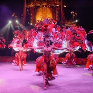 Цирковое шоу Гии Эрадзе «Бурлеск» в Нижнем Новгороде фотографии