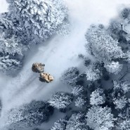 Спектакль «Облачный полк» — Нижний Новгород, 22 сентября 2026 фотографии