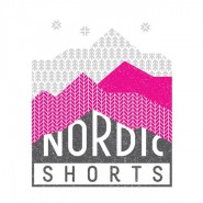 Фестиваль короткометражного скандинавского кино Nordic Shorts фотографии