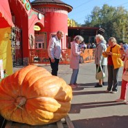 Конкурс на самую большую тыкву в зоопарке Лимпопо 2024 фотографии