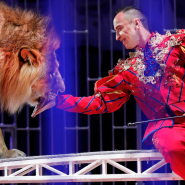 Новогодняя сказка «13 месяцев» и шоу Фонтанов в Нижегородском Цирке 2021/22 фотографии