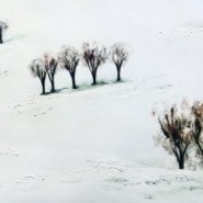 Выставка «Расширяя пространство зимы» фотографии
