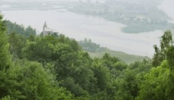 Выставка «В леса и на горы»