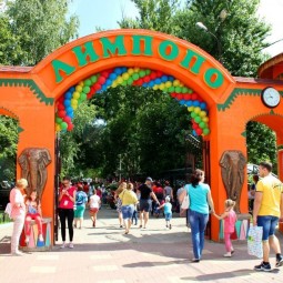 Зоопарк «Лимпопо»