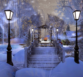 Зимние органные вечера, концерт «Сон в зимнюю ночь»
