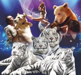Королевство белых тигров — цирковое шоу — Нижний Новгород, 1 августа 2026