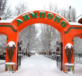 Акция «Сезон сниженных цен в зоопарке «Лимпопо» 2020/21