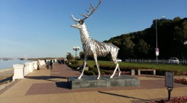 Заголовок статьи