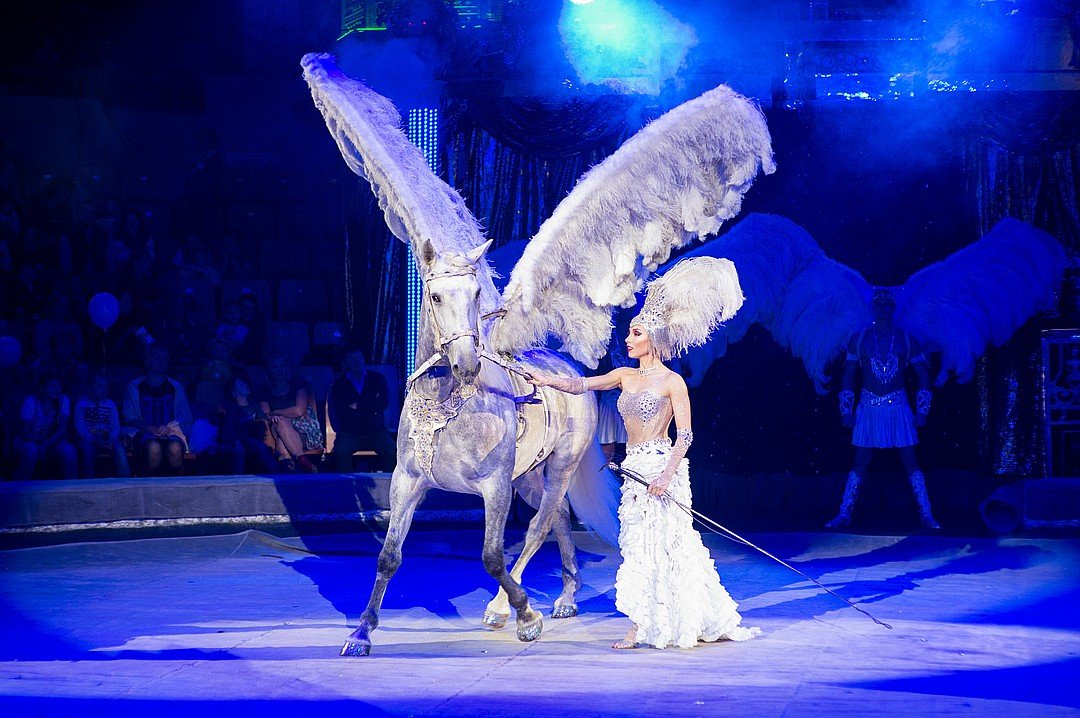 Цирковое шоу Гии Эрадзе «Бурлеск» в Нижнем Новгороде