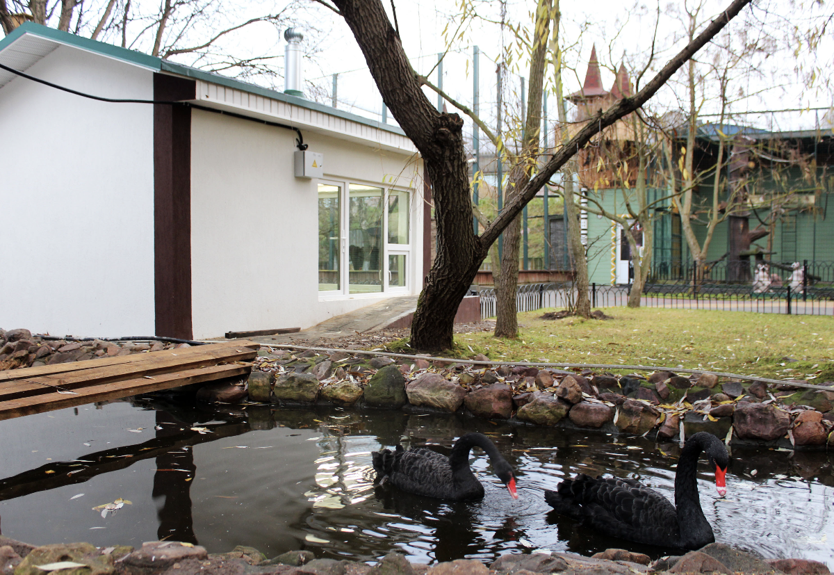 Новости и акции в зоопарке «Лимпопо» 2025