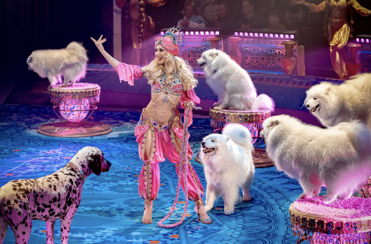 Премьера шоу «Песчаная сказка» в Нижегородском цирке