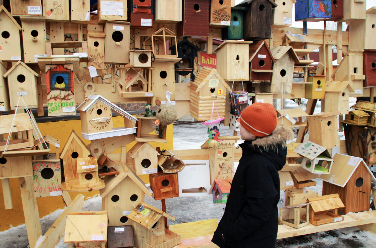 Конкурс на лучший скворечник и домик для птиц 2026